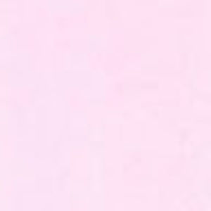 Meet your Posher, Corbin